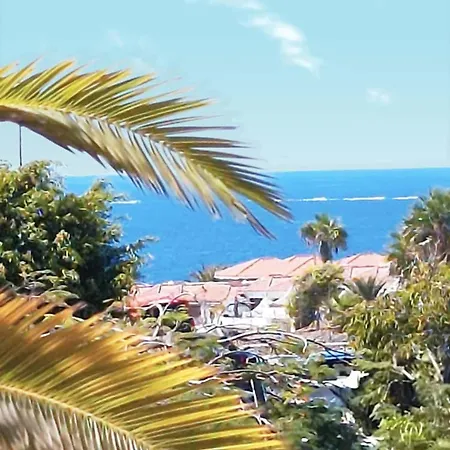 Parque Albatros Vista Piscina E Mare Daire San Miguel de Abona